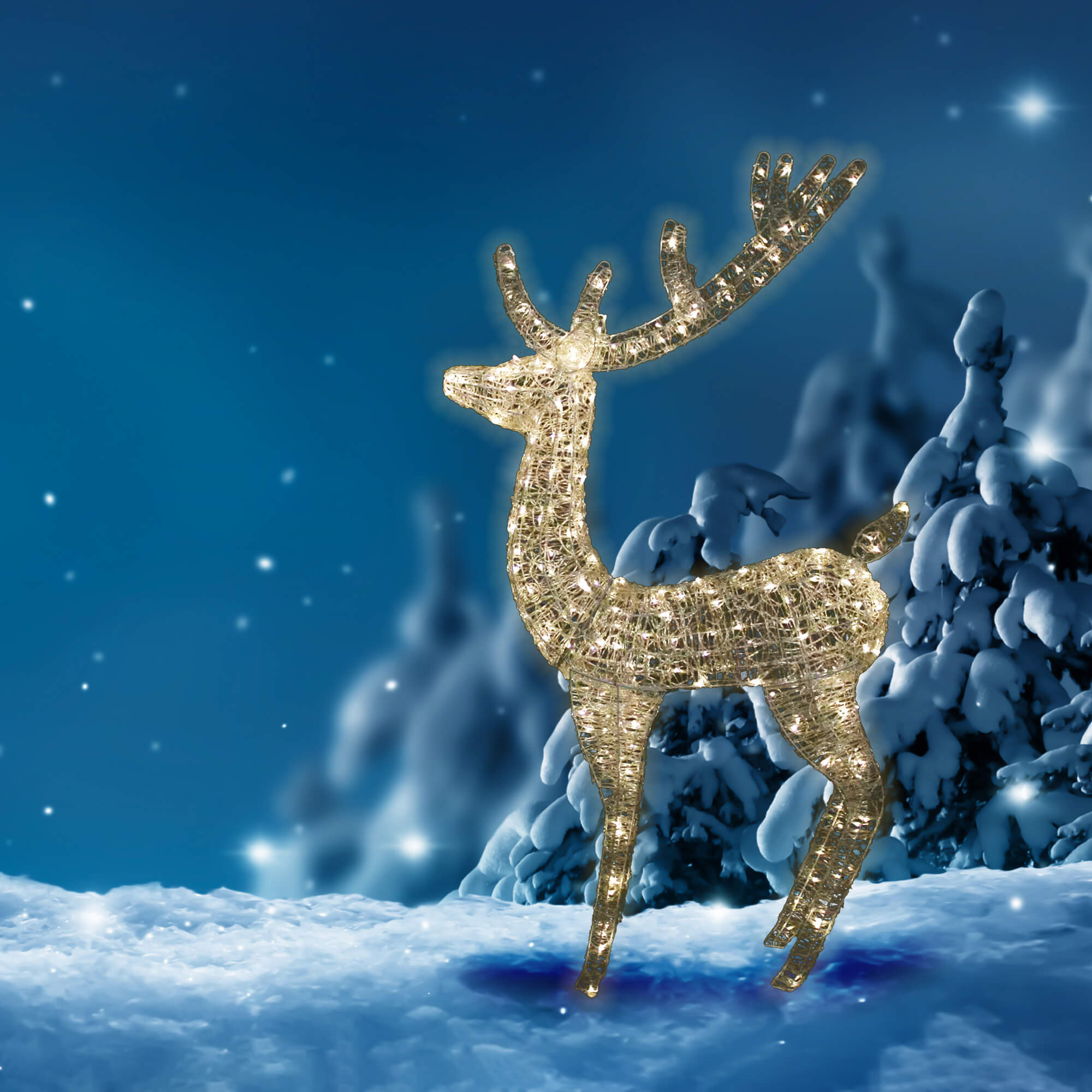 Salween Reindeer Christmas Light Display